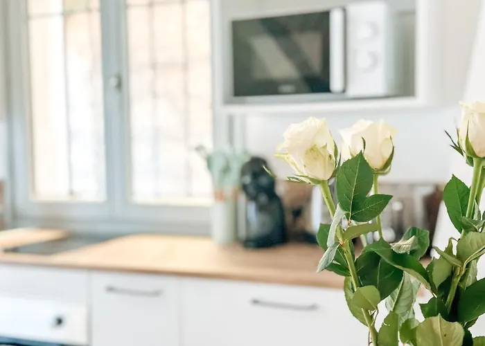 Le Constantinou * Saint-Michel-l'Observatoire